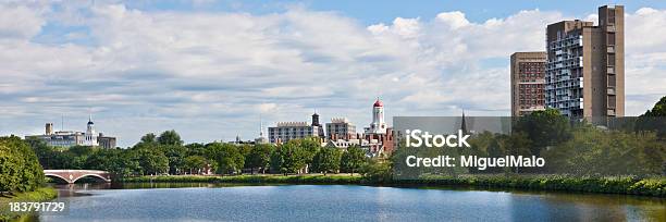 Гарвардский Университет Кембридж Массачусетс — стоковые фотографии и другие картинки Гарвард - Гарвард, Бостонская бухта, Массачусетс