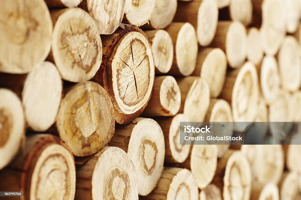 Stacked logs Closeup of wooden logs piled up together Log Stock Photo