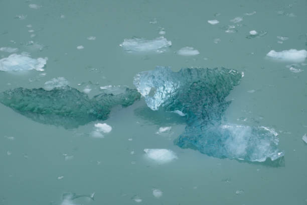 istock Endicott arm & Dawes glacier, Alaska 1837919617