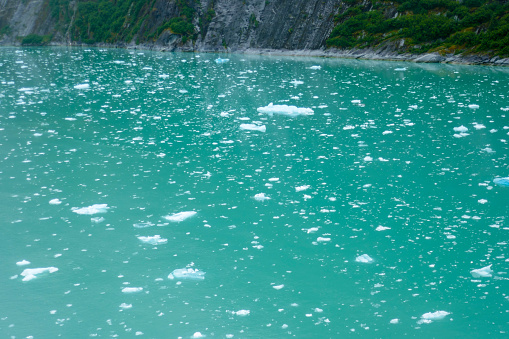 The fjord of Endicott arm is very popular place for cruise ships to watch Dawes glacier.