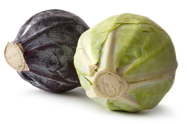 Vegetables: Cabbage White and Red More Photos like this here... white cabbage stock pictures, royalty-free photos & images