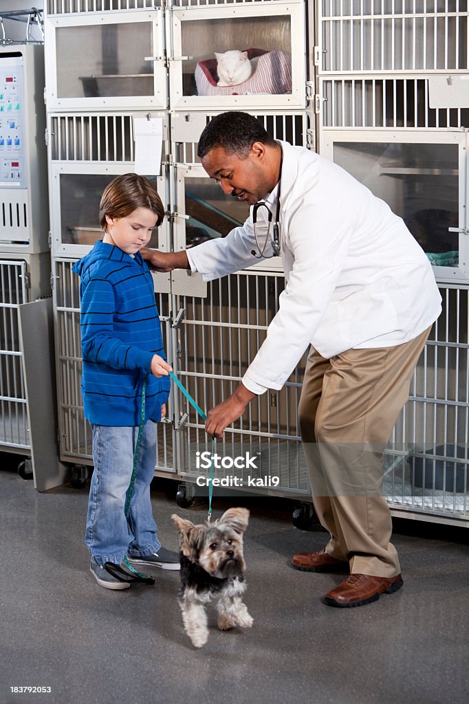 Niño y veterinario con perro en clínica de animales - Foto de stock de Centro de acogida para animales libre de derechos