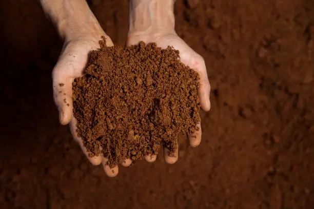 Hands holding soil against soil background