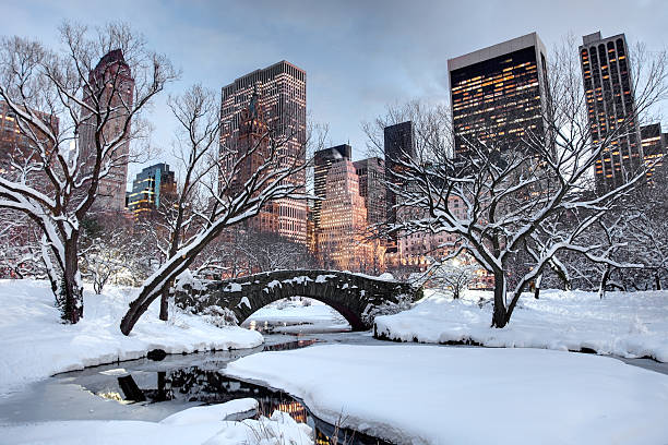 겨울 뉴욕 뉴욕시 - new york city new york state skyline winter 뉴스 사진 이미지