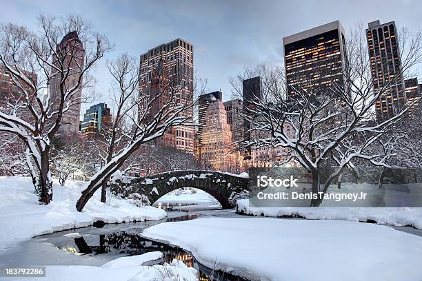 Foto de Inverno Na Cidade De Nova York e mais fotos de stock de Inverno - Inverno, New York City, Central Park - Manhattan