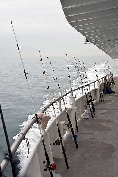 istock Charter fishing rods 183793107