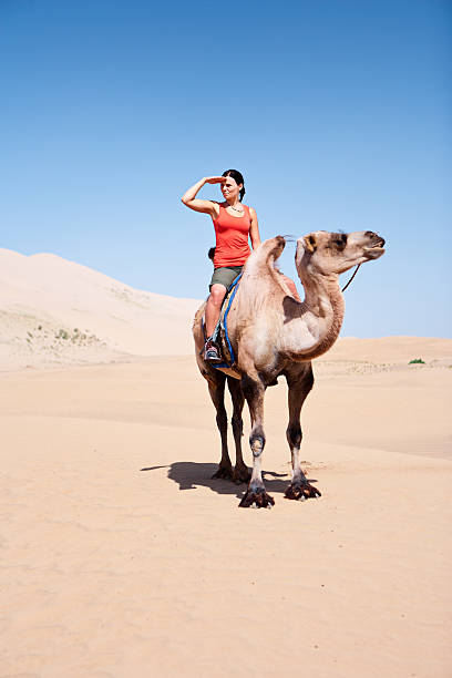 istock Young woman riding on the camel 183793155