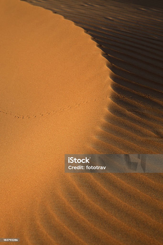 Tramonto sulle dune di sabbia a Dubai, Emirati Arabi Uniti - Foto stock royalty-free di Ambientazione esterna