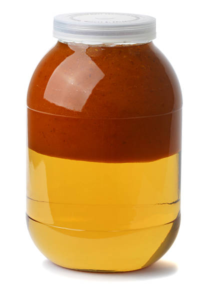 istock Sea-buckthorn juice 183793806