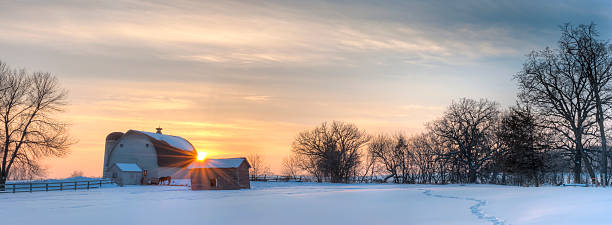 Panoramic winter landscape Minnesota scenic winter farm sunset. Panoramic winter shot of a Minnesota farm during sunset. Notice the trail in the snow leads back to the horse by the barn. agricultural building photos stock pictures, royalty-free photos & images