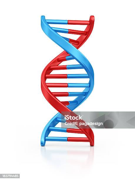 Adn - Fotografias de stock e mais imagens de ADN - ADN, Tridimensional, Figura para recortar