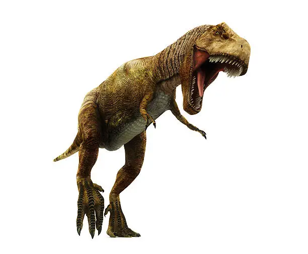 Photo of Tyrannosaurus Rex