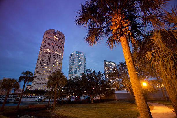 istock Tampa Florida skyline dusk USA 183794749