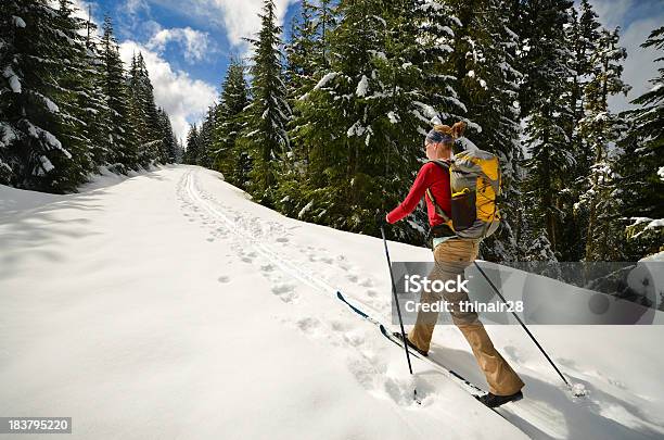 Frau Crosscountry Ski Stockfoto und mehr Bilder von Langlaufen - Langlaufen, Oregon - US-Bundesstaat, Winter