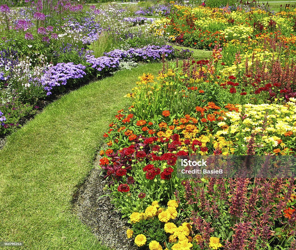Flower garden im Sommer - Lizenzfrei Aster Stock-Foto