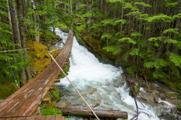 Skagway was an important port during the Klondike goldrush. Now the little town will be visited by cruise ships every day during summer season.