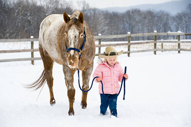 маленькая девочка, ходьба большой лошади через снежные farm field - winter snow livestock horse стоковые фото и изображения