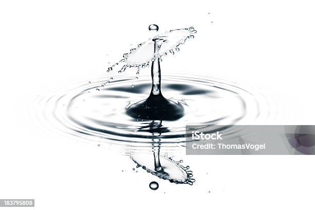 Water Splash On White I Freeze Frame Motion Drop Stock Photo - Download Image Now - Wave - Water, Wave Pattern, White Background