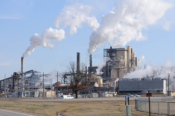 istock Paper and Cardboard Mill 183795818