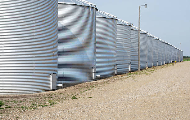 istock Grain storage silos in Iowa 183795902