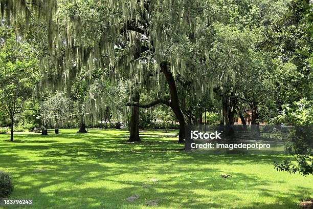 Park Foto de stock y más banco de imágenes de Jardín privado - Jardín privado, Georgia - Estado de EEUU, Savannah - Georgia