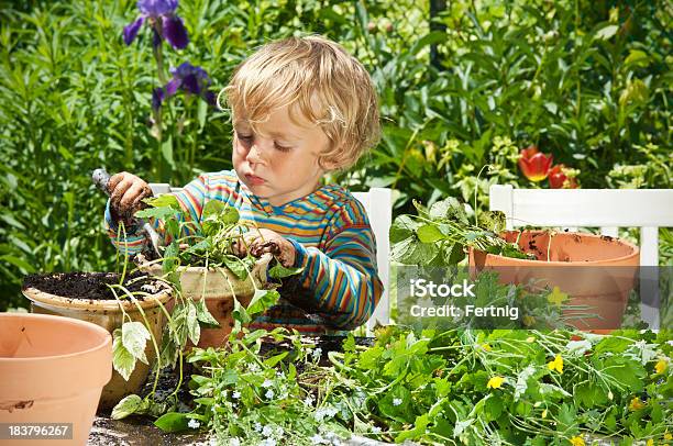 Foto de Little Gardener e mais fotos de stock de 2-3 Anos - 2-3 Anos, Aluno de Jardim de Infância, Arquiteto paisagista