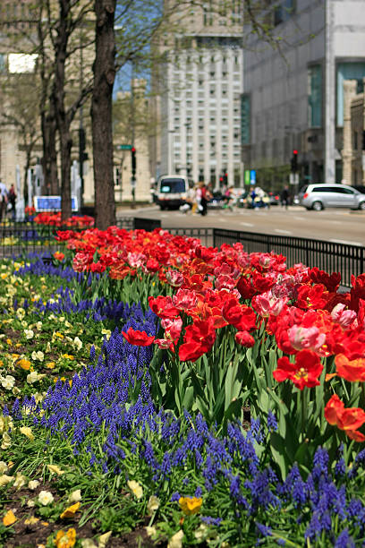 istock North Michigan Avenue Shopping District 183796897