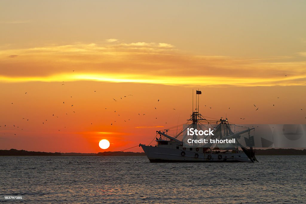 Fishing Лодка на закате - Стоковые фото Судно для ловли креветок роялти-фри