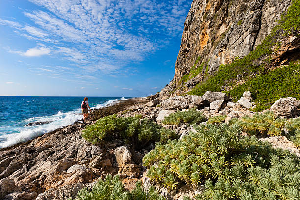 Beach Path below the Bluff, Cayman Brac The rocky coast below the bluff, always windy, is a beautiful trail along the shore that leads to the most easterly point of the island. Eastern Bluff, Cayman Brac, Cayman Islands.  brac island stock pictures, royalty-free photos & images