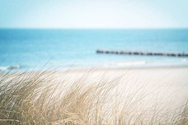 istock Silent beach at the Baltic Sea 183798214