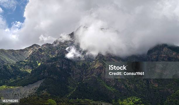 Niebla Foto de stock y más banco de imágenes de Aire libre - Aire libre, Ambiente atmosférico, Belleza de la naturaleza