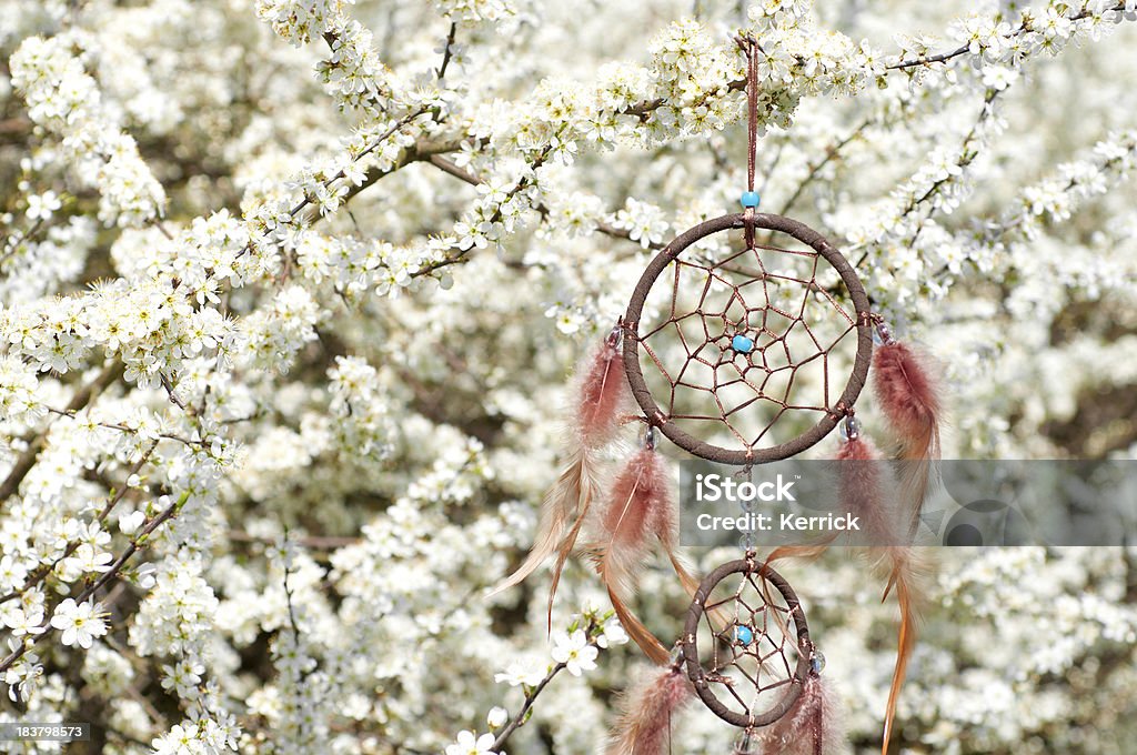 detail von Indianischer Traumfänger in Schlehdorn bush - Lizenzfrei April Stock-Foto