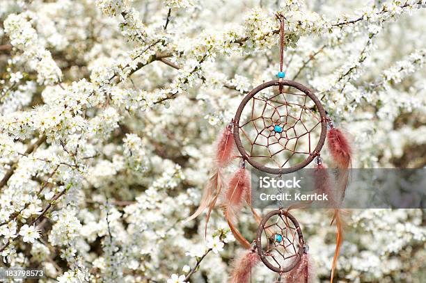 Detail Von Indianischer Traumfänger In Schlehdorn Bush Stockfoto und mehr Bilder von April