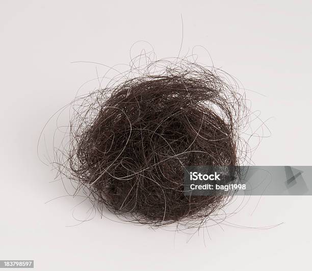 Haarball Stockfoto und mehr Bilder von Desorientiert - Desorientiert, Menschliches Haar, Braun