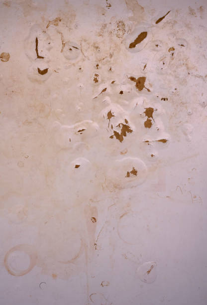 istock Top view of white grungy painted table texture. 1837990875