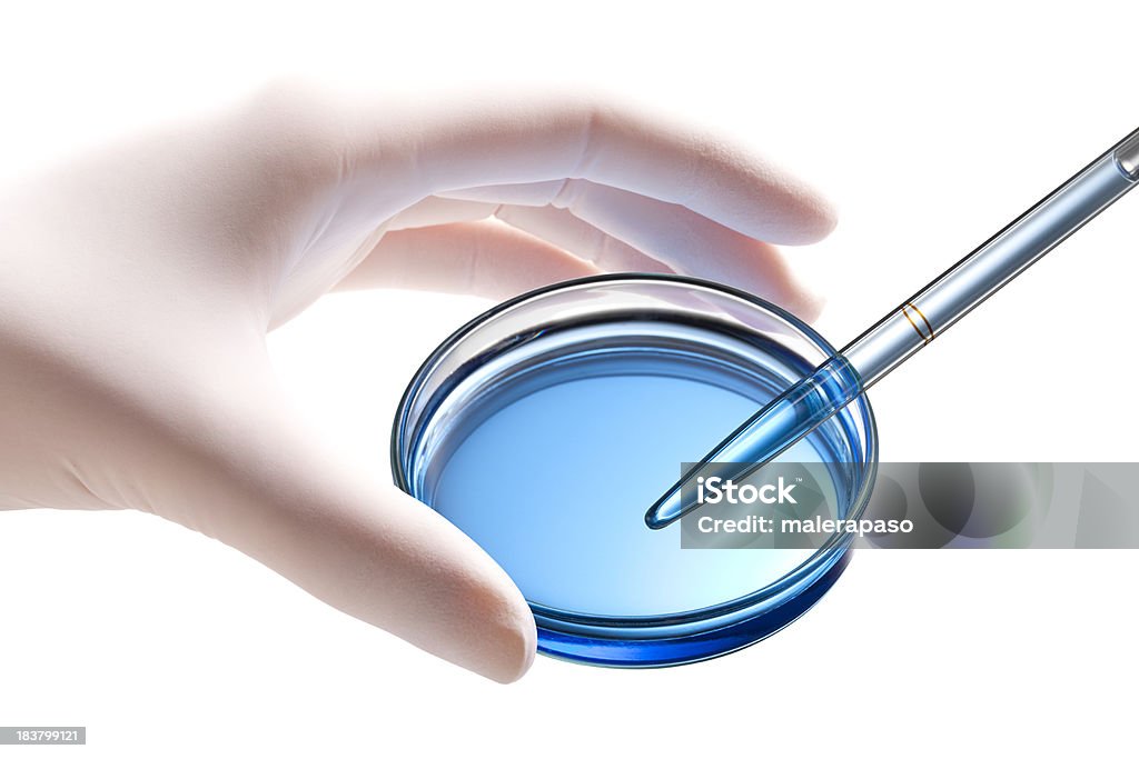 Investigação científica. Laboratório. - Royalty-free Célula-tronco Foto de stock