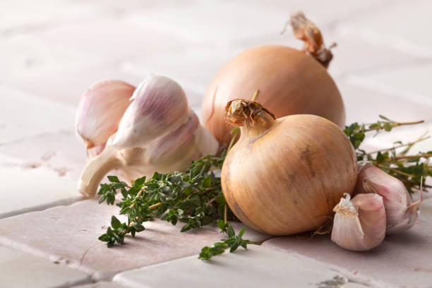Vegetable Stills: Onions, Garlic and Thyme More Photos like this here... garlic bulb photos stock pictures, royalty-free photos & images