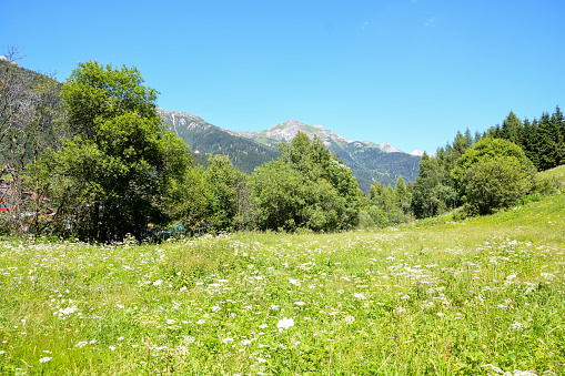 Photo picture Panorama view of Alps peaks background