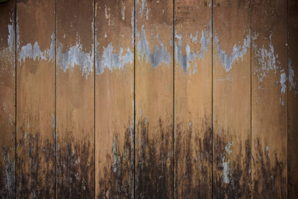 Weathered and scratched rustic wooden board.High angle view of a flat textured wooden board backgrounds. It has a beautiful nature and abstractive pattern. A close-up studio shooting shows details and lots of wood grain on the wood table. The piece of wood at the surface of the table also appears rich wooden material on it. The wood is dark brown color with darker brown lines and pattern on the bottom. Flat lay style. Its high-resolution textured quality.The close-up gives a direct view on the table, showing cracks and knotholes in the wood.