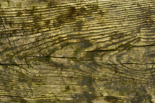 Weathered and scratched rustic wooden board.High angle view of a flat textured wooden board backgrounds. It has a beautiful nature and abstractive pattern. A close-up studio shooting shows details and lots of wood grain on the wood table. The piece of wood at the surface of the table also appears rich wooden material on it. The wood is dark brown color with darker brown lines and pattern on the bottom. Flat lay style. Its high-resolution textured quality.The close-up gives a direct view on the table, showing cracks and knotholes in the wood.