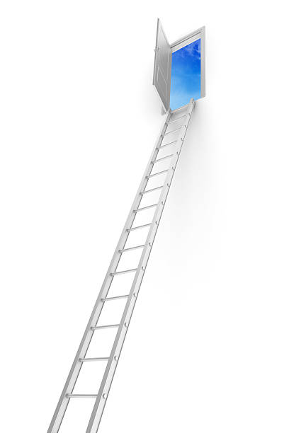 istock Ladder of Success 183799763