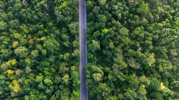 istock top view road and forest. Road going through forest view from above 1837998441