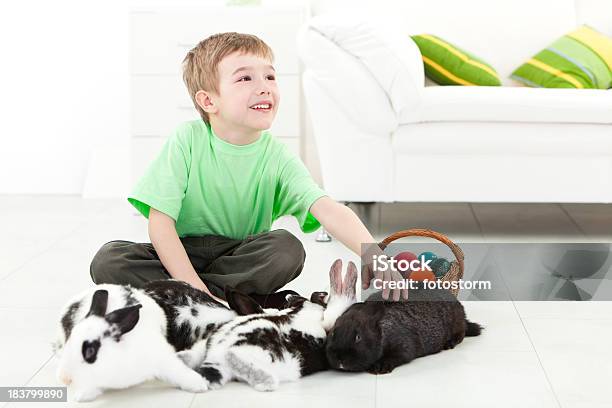 Rapaz Com Coelho E Ovos De Páscoa Em Uma Cesta - Fotografias de stock e mais imagens de 4-5 Anos - 4-5 Anos, Aluno, Aluno de Jardim de Infância