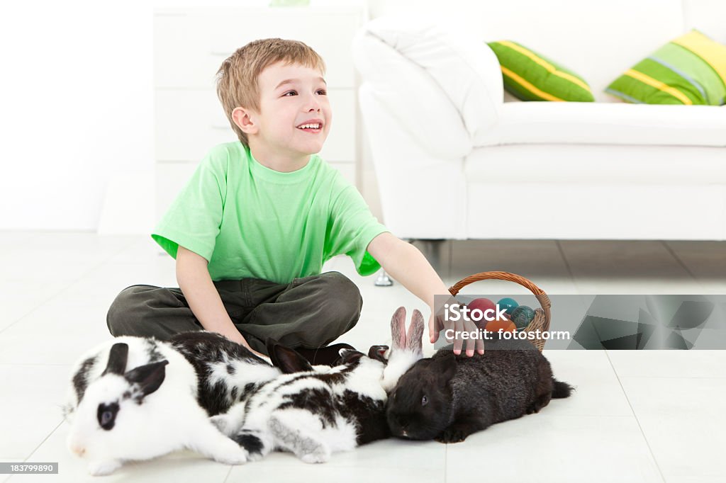 Маленький мальчик с Кролик и пасхальные яйца в корзину - Стоковые фото 4-5 лет роялти-фри