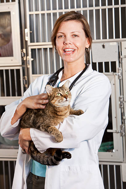 istock Worker in animal clinic holding cat 183800284