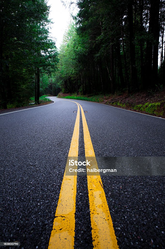 Fraîchement autoroute 1 jusqu'au comté de Mendocino - Photo de Arbre libre de droits