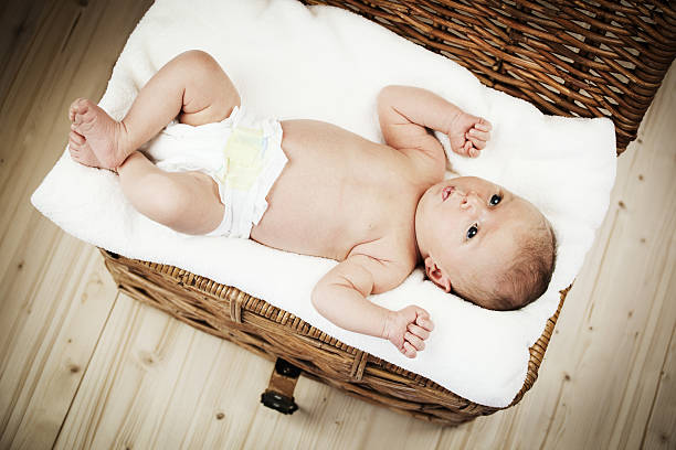 istock Baby in the basket 183800954