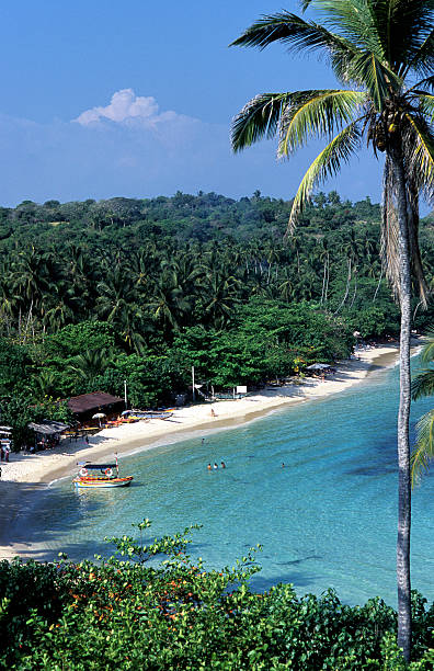 istock Sri Lanka, Unawatuna, beach. 183801412