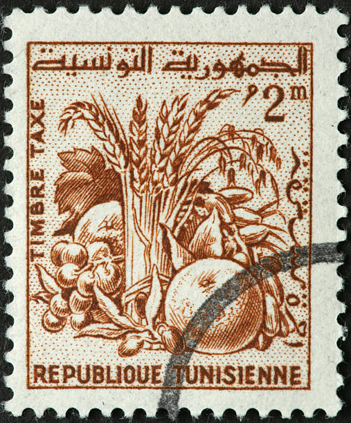 istock Tunsian fruits and grain harvest on a postage stamp 183801485