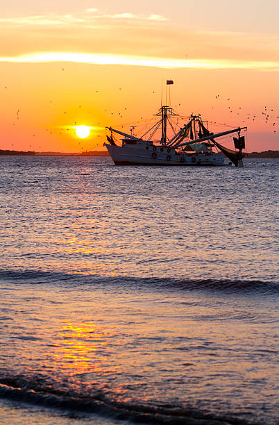 barca da pesca al tramonto - barca per pesca di gamberetti foto e immagini stock